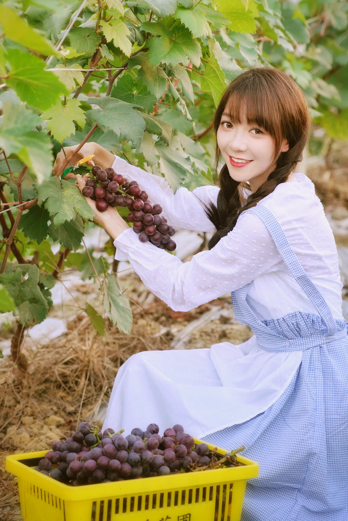 [YITUYU] 2023.02.04 Vol.2969 The joy of harvest in the vineyard duck duck#[24P]-18